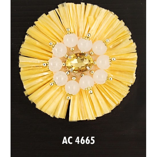 AC 4665