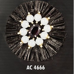 AC 4666