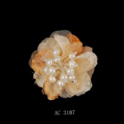 ac 3107 CM 5